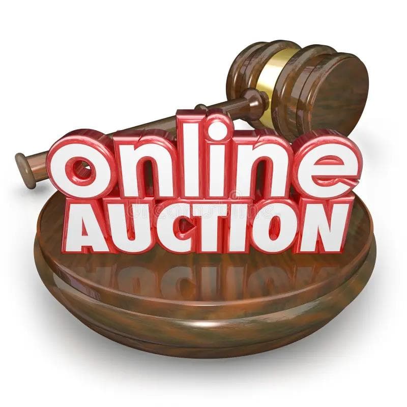 Digiground Online Aution