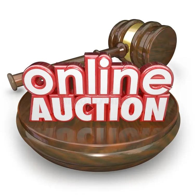 Digiground Online Aution